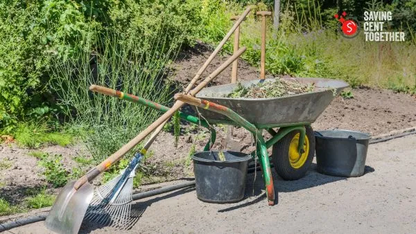 Unlock Your Garden's Potential with These 6 Essential Tools