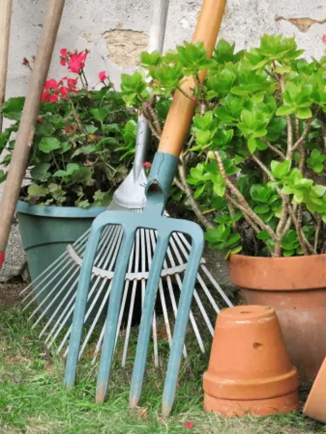 Unlock Your Garden’s Potential with These 6 Essential Tools